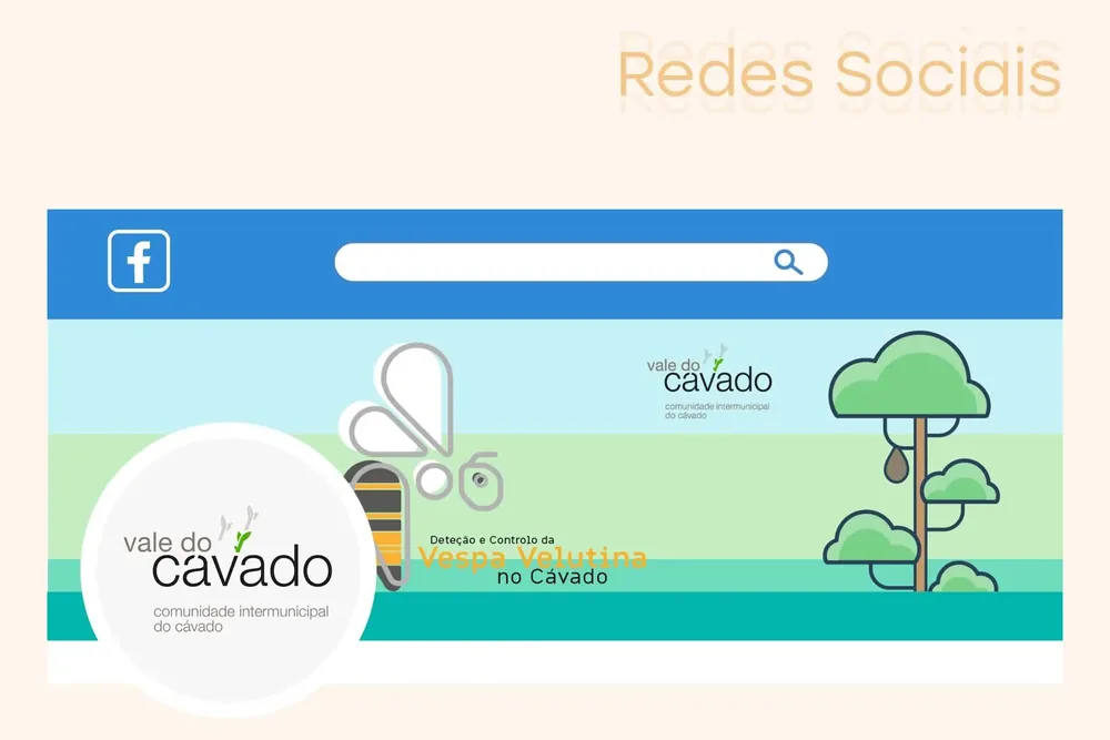 CIM Cávado: Vespa Velutina