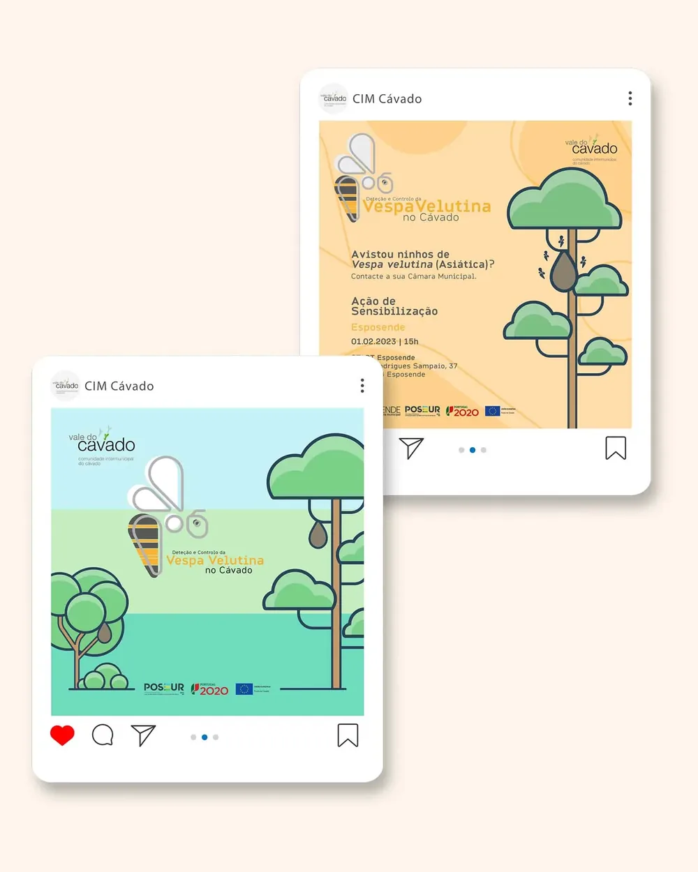 CIM Cávado: Vespa Velutina