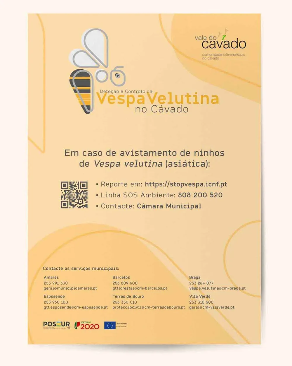 CIM Cávado: Vespa Velutina