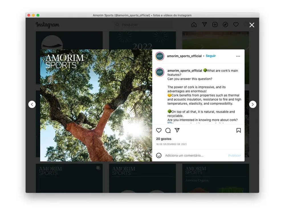 Amorim Sports - Gestão de Redes Sociais