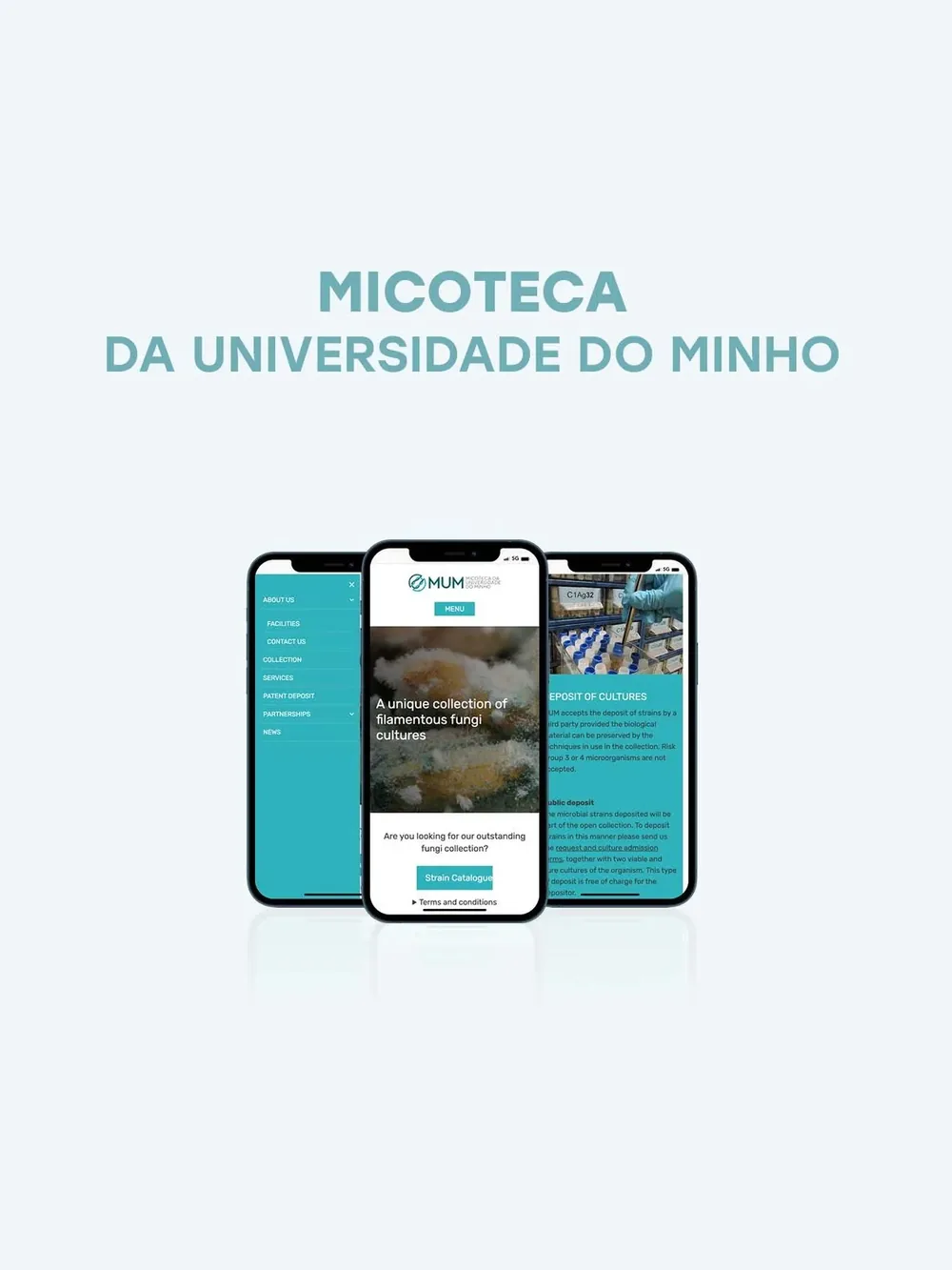 Micoteca da Universidade do Minho